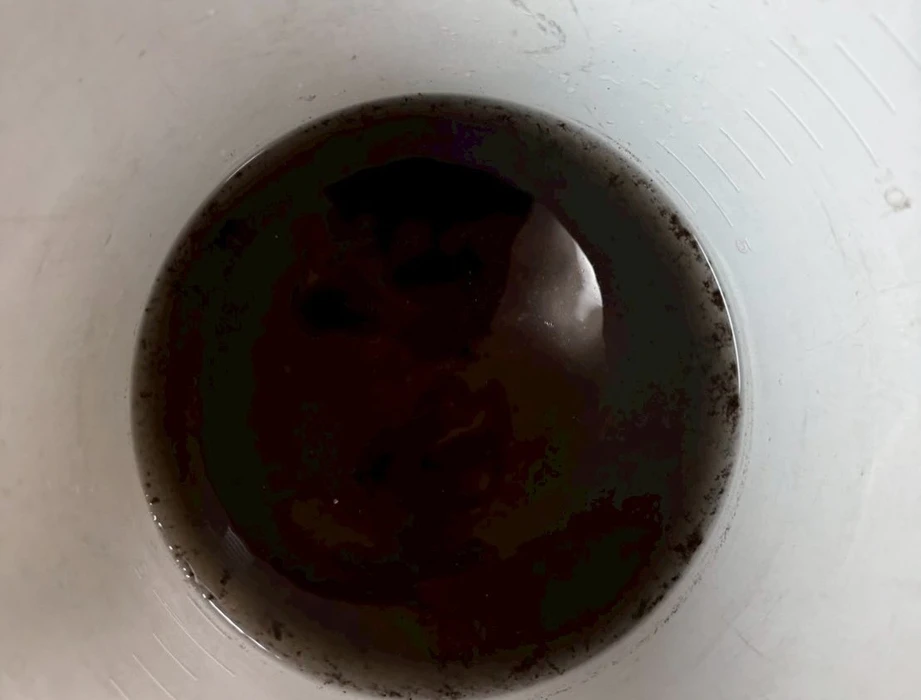 画像257